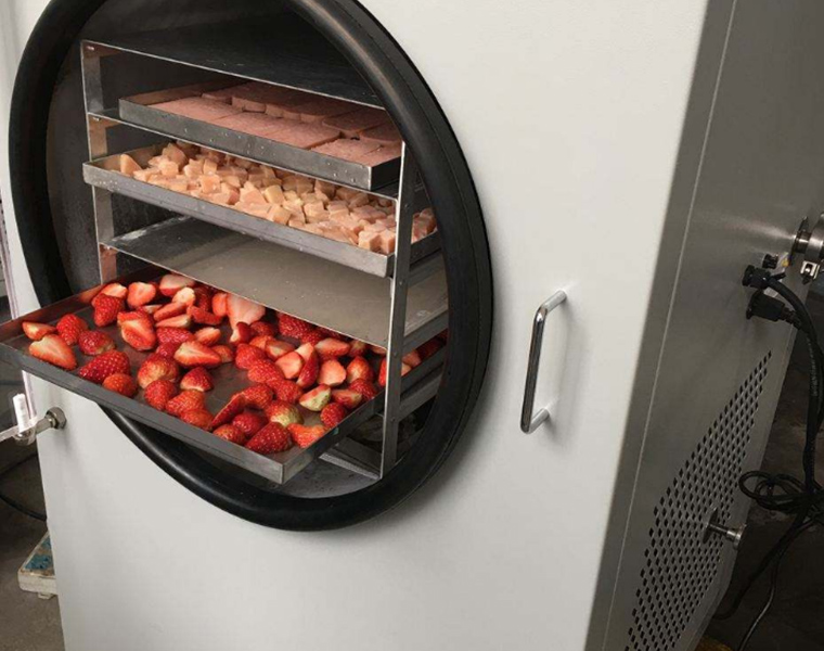 果蔬凍干機 果蔬凍干機